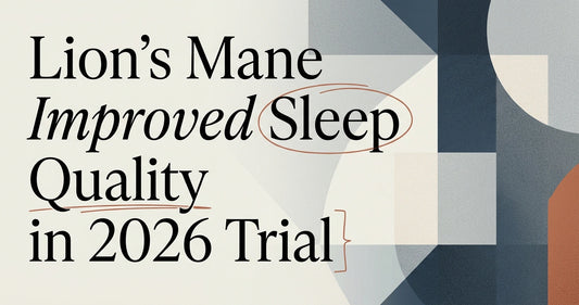 Lion's Mane and Sleep: What You Should Know
