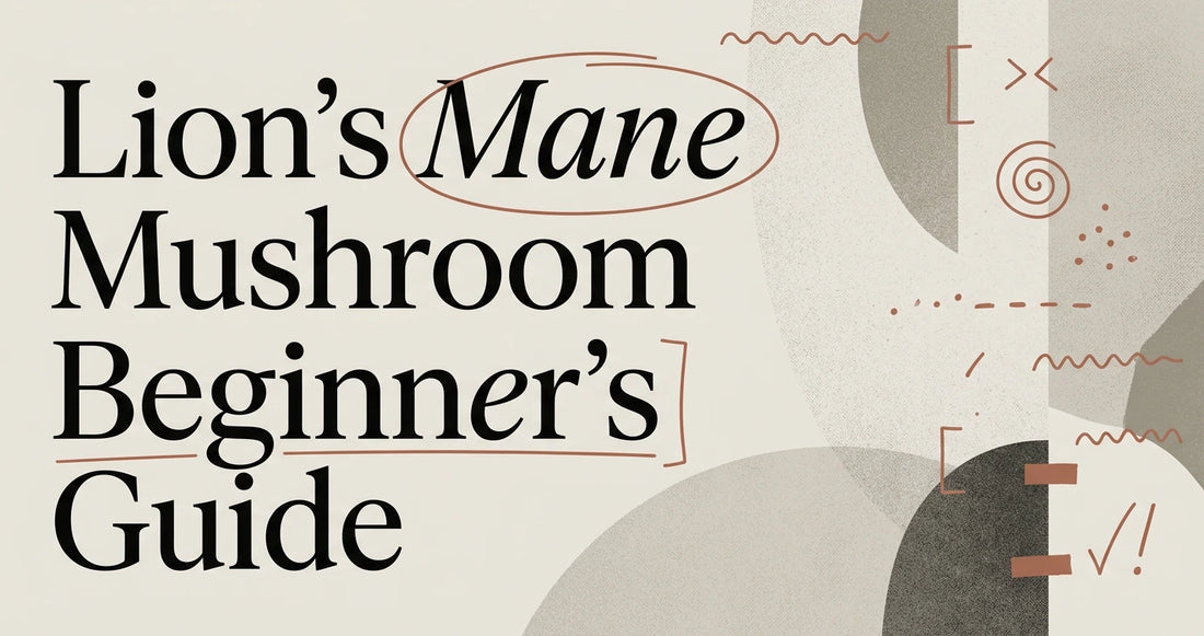 What Is Lion's Mane Mushroom? A Beginner's Guide