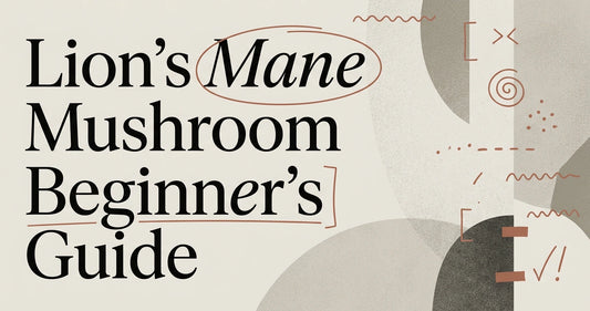 What Is Lion's Mane Mushroom? A Beginner's Guide