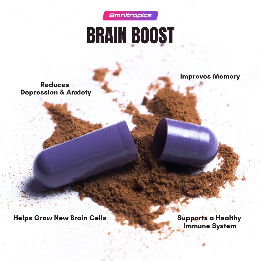 Omnitropics™ Brain Boost Premium Lion's Mane (25% OFF)